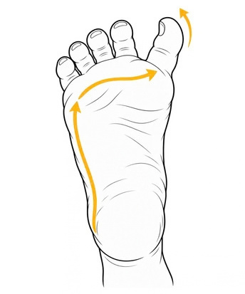 Illustration einer Babyfußsohle mit Reizrichtung und angehobenem großem Zeh.