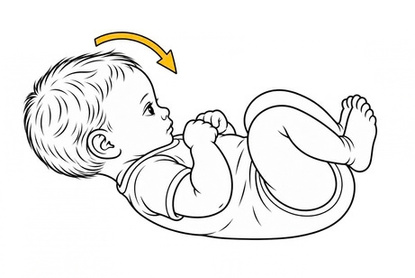 Baby mit gebeugtem Kopf und zusammengeführten Armen und Beinen zum tonisch-labyrinthischen Reflex.
